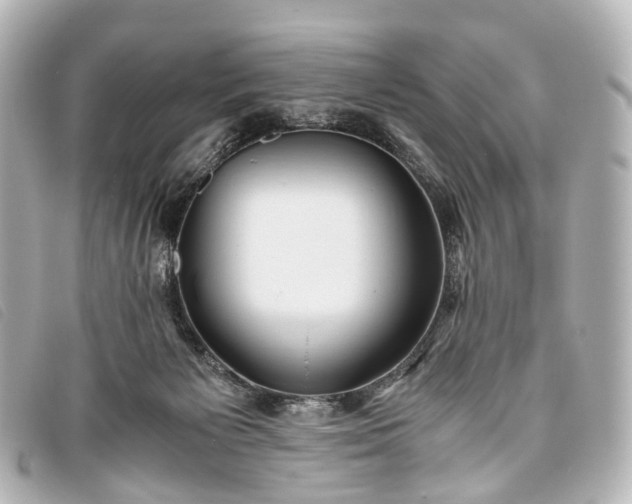 X0000093370125200710251202