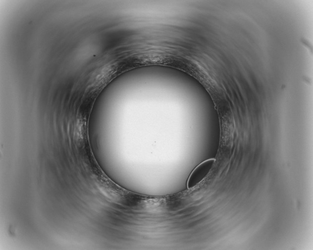 X0000093370126200710251202