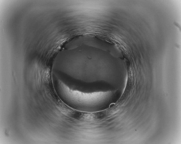 X0000093370127200710251202