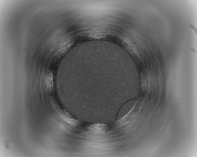 X0000093370128200710251202