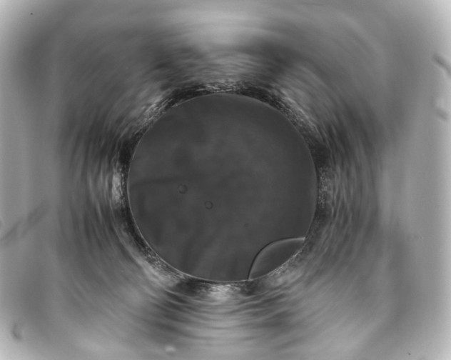 X0000093370130200710251202