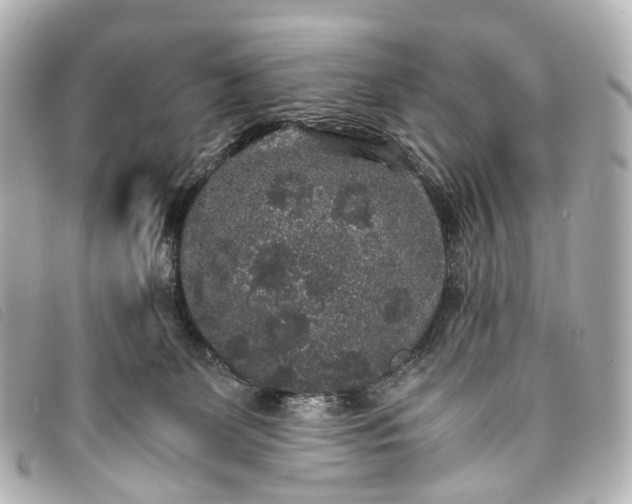 X0000093370131200710251202