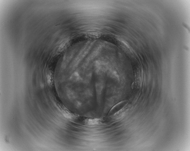 X0000093370134200710251202