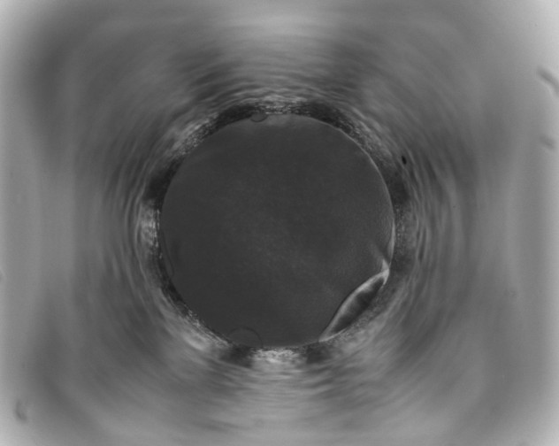 X0000093370137200710251202