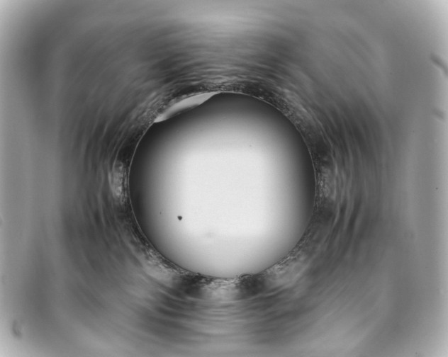 X0000093370138200710251202