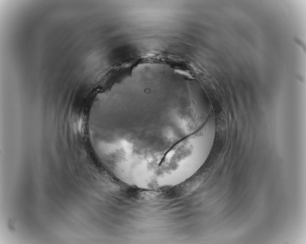 X0000093370139200710251202