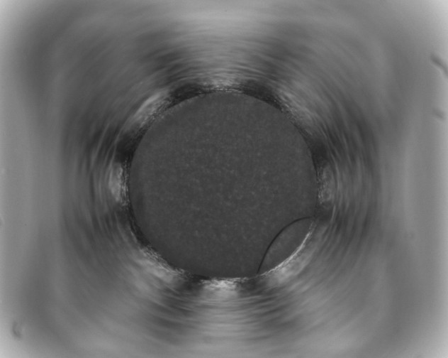 X0000093370140200710251202