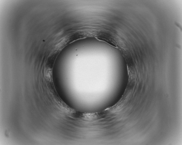 X0000093370141200710251202