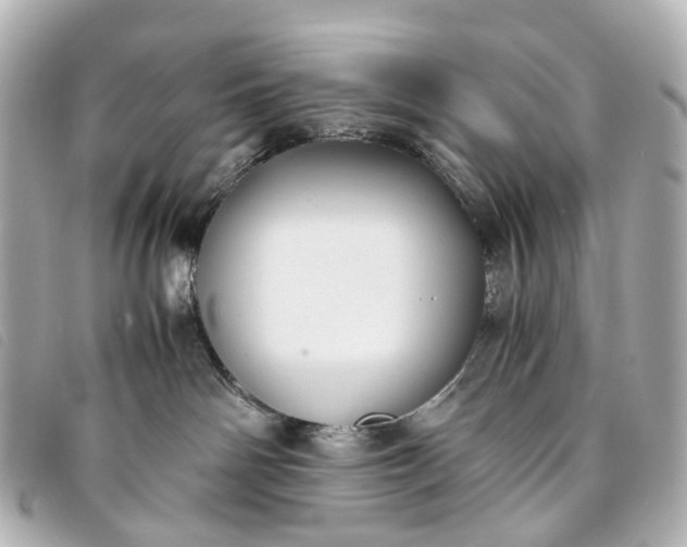 X0000093370142200710251202