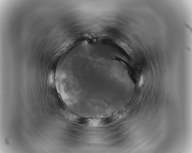 X0000093370143200710251202