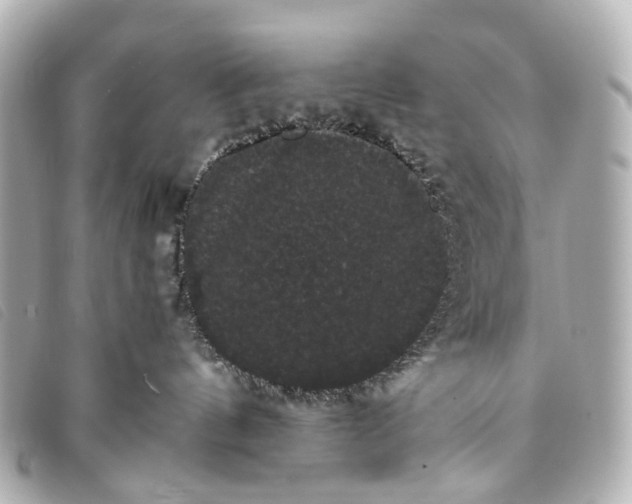 X0000093370144200710251202