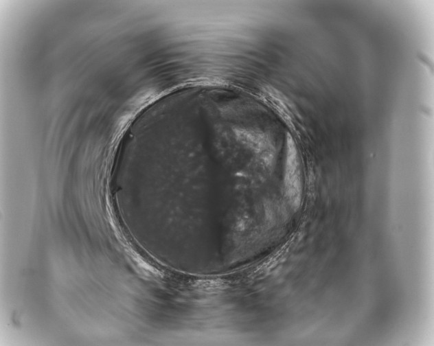 X0000093370145200710251201