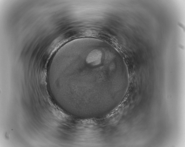 X0000093370146200710251201