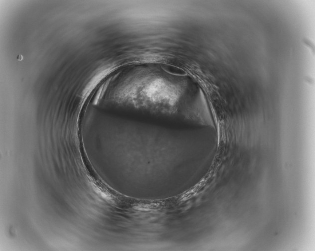 X0000093370147200710251201