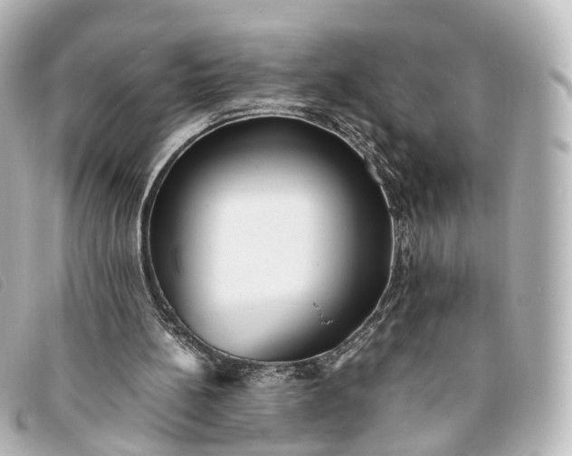 X0000093370148200710251201