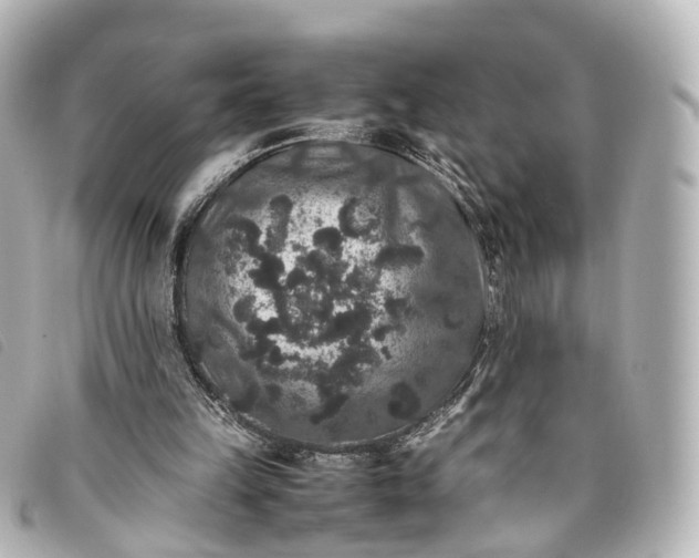 X0000093370149200710251201