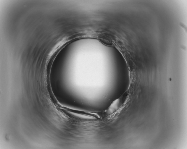 X0000093370150200710251201