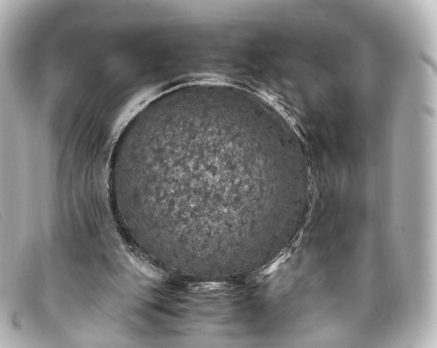 X0000093370151200710251201