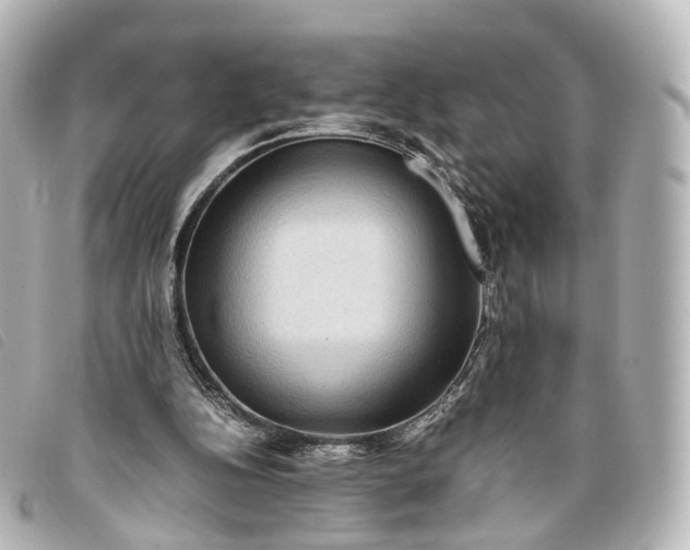 X0000093370152200710251201