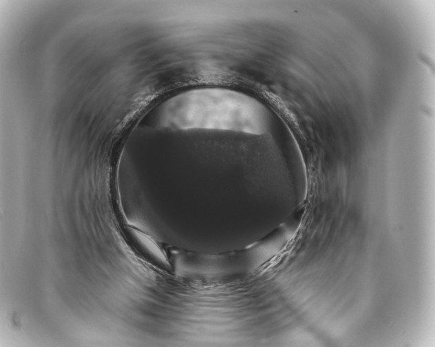 X0000093370154200710251201