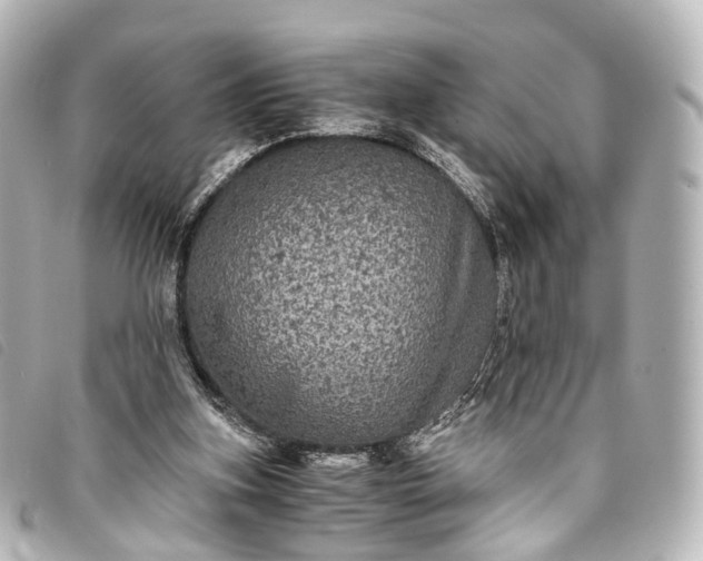 X0000093370155200710251201