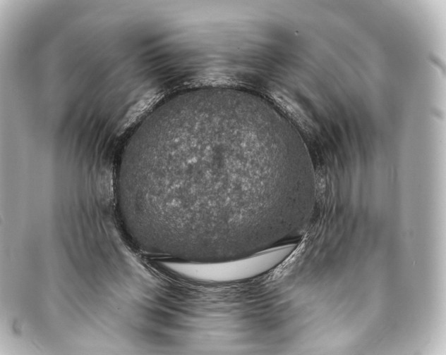 X0000093370158200710251201