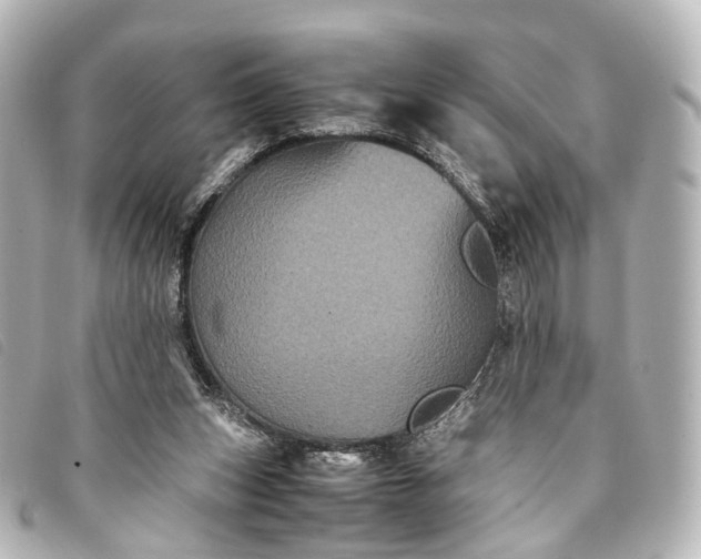 X0000093370159200710251201