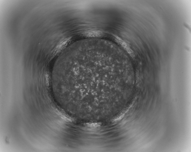 X0000093370161200710251201