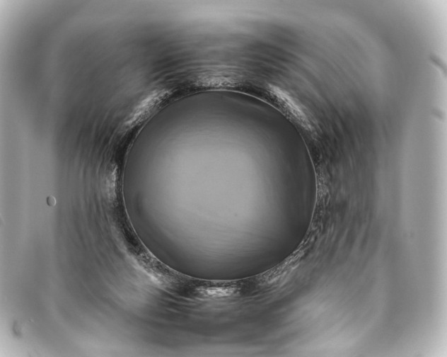 X0000093370163200710251201