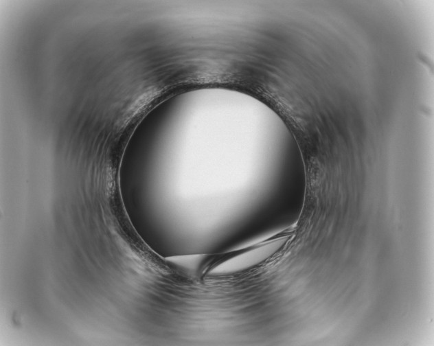 X0000093370164200710251201