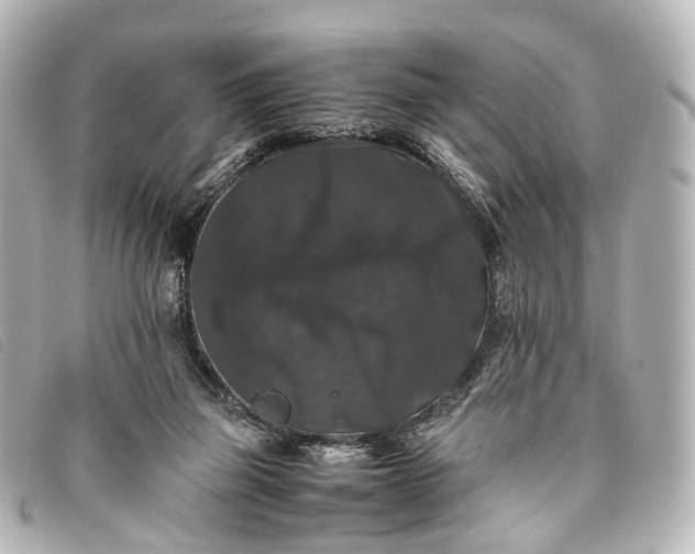 X0000093370165200710251201