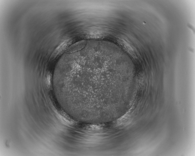 X0000093370166200710251201