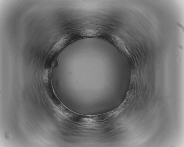 X0000093370167200710251201