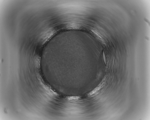 X0000093370168200710251201