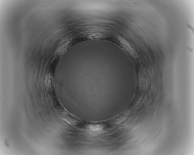 X0000093370169200710251202