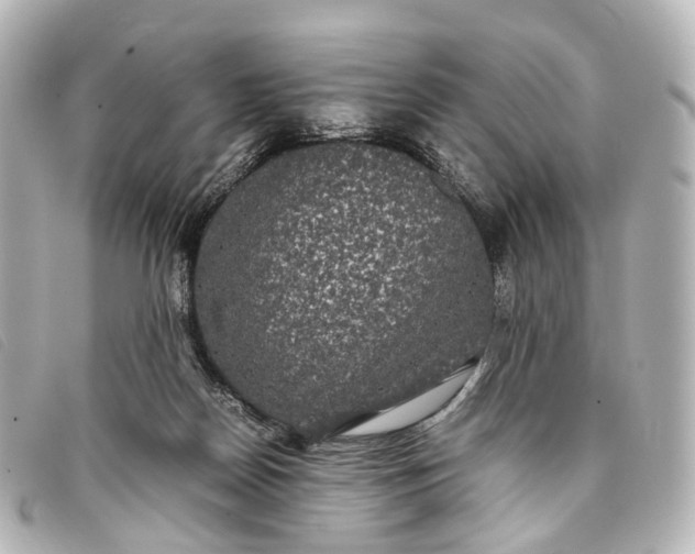 X0000093370170200710251202