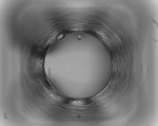 X0000093370171200710251202