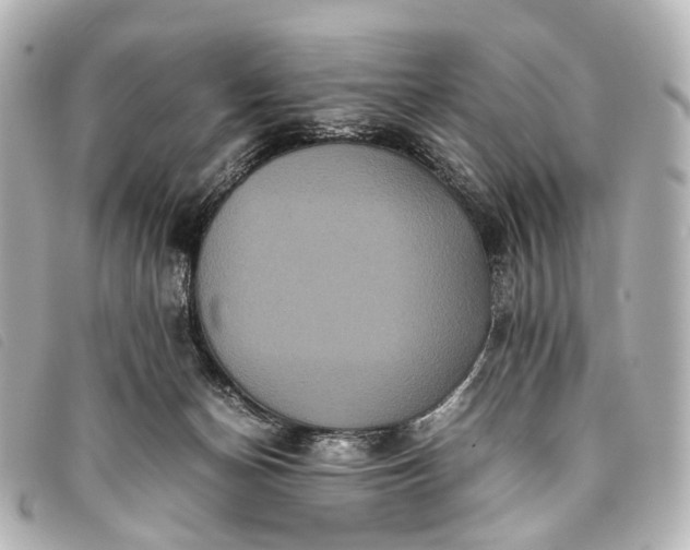 X0000093370174200710251202