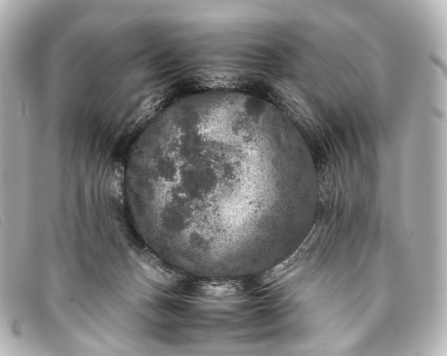 X0000093370175200710251202