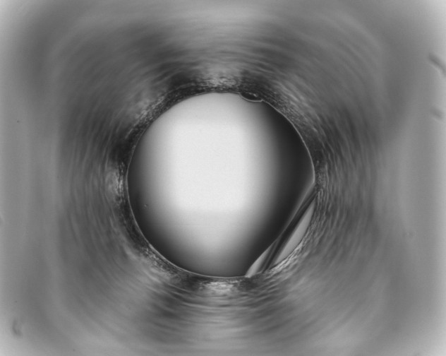 X0000093370176200710251202