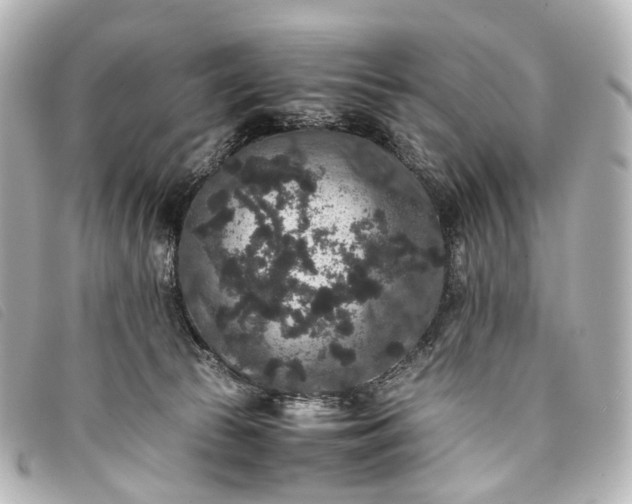 X0000093370177200710251202