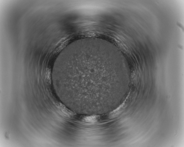 X0000093370178200710251202