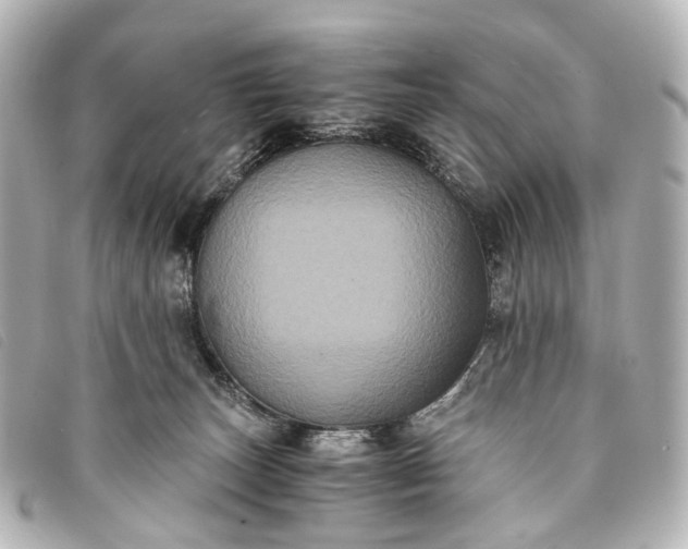 X0000093370179200710251202