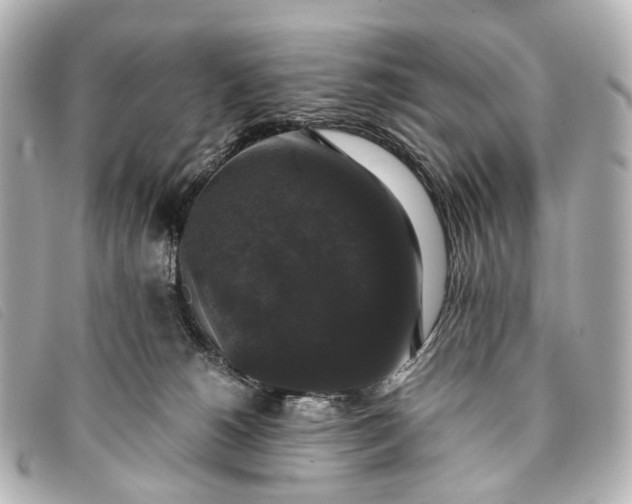 X0000093370180200710251202