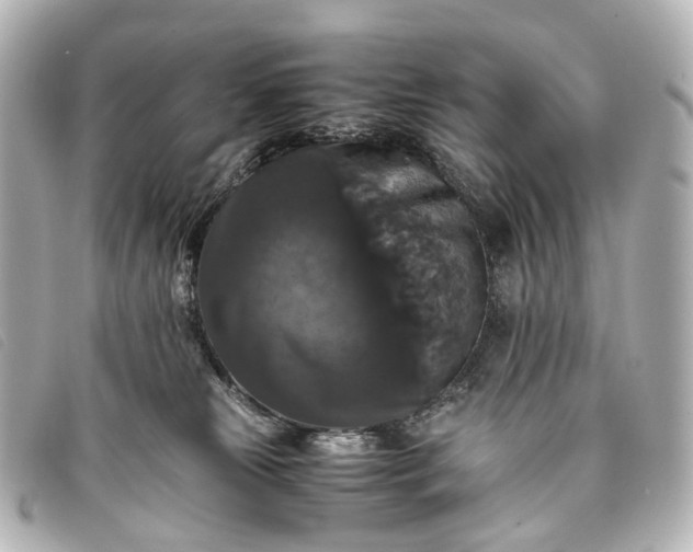 X0000093370181200710251202