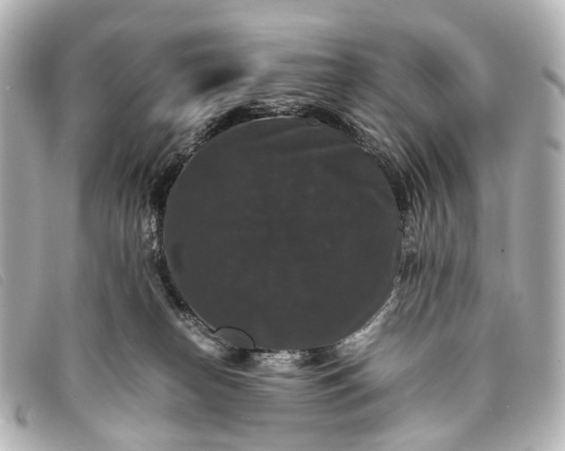 X0000093370182200710251202