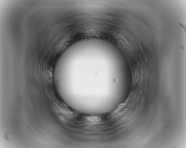 X0000093370183200710251202