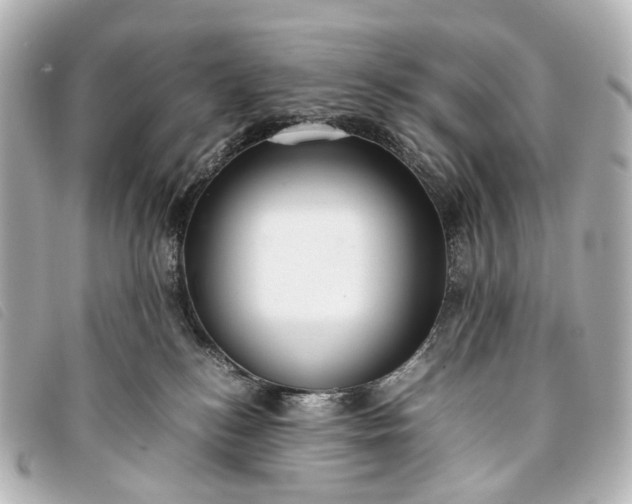 X0000093370184200710251202