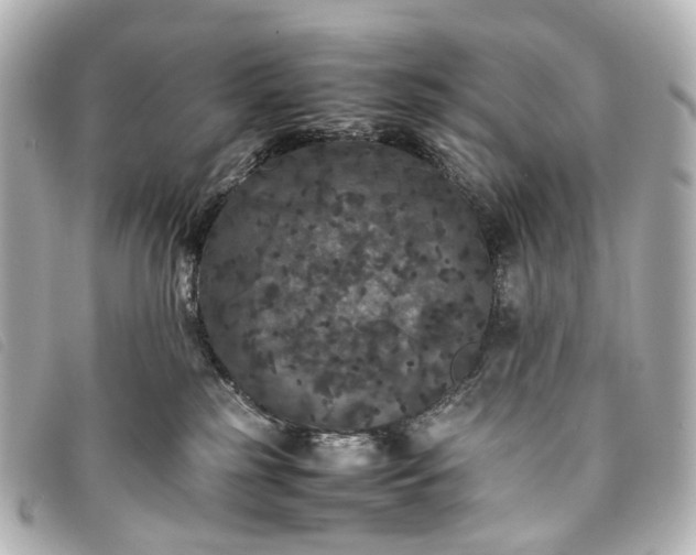 X0000093370185200710251202