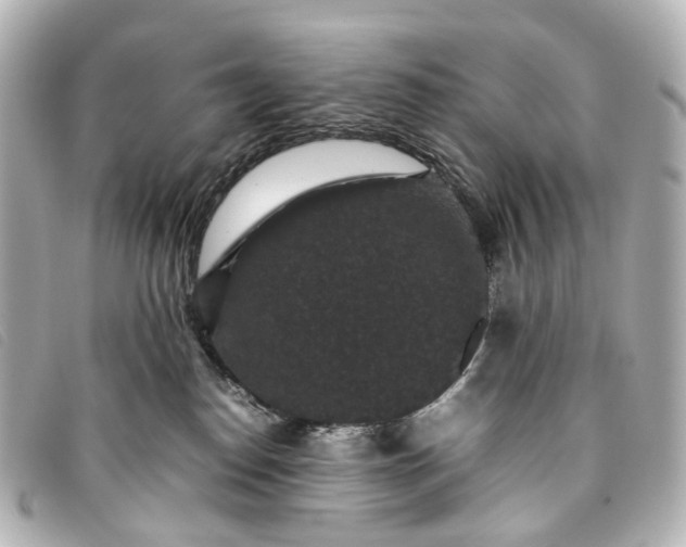 X0000093370186200710251202